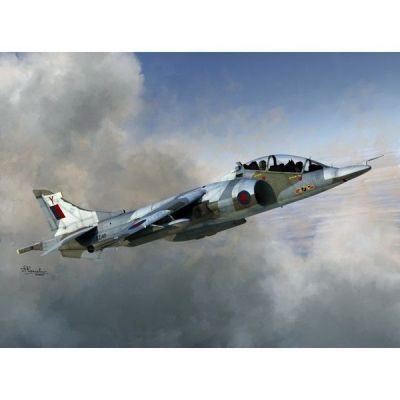 Harrier T.Mk.2/2A/4/4N SWORD