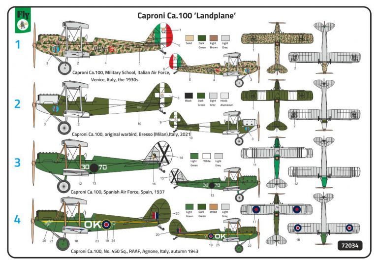 Caproni Ca.100 Land plane