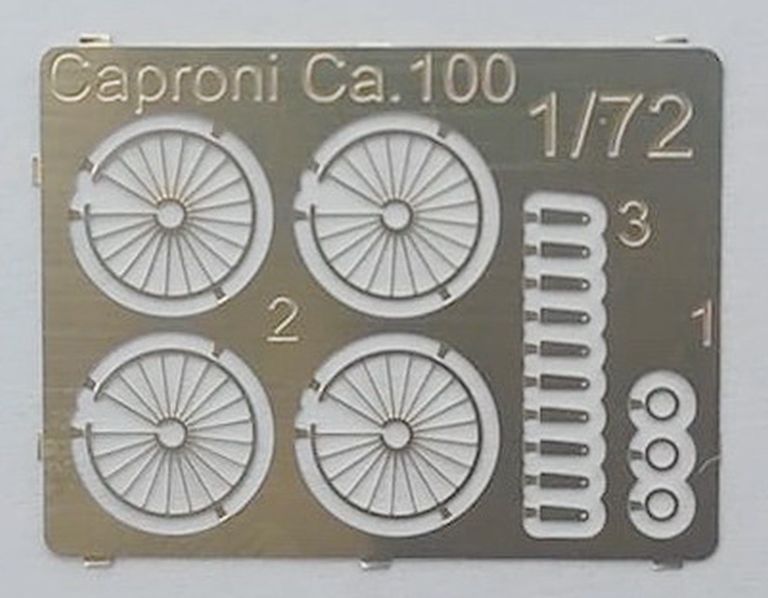 Caproni Ca.100 Land plane