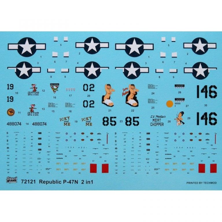 Republic P-47N THUNDERBOLT 2 in 1