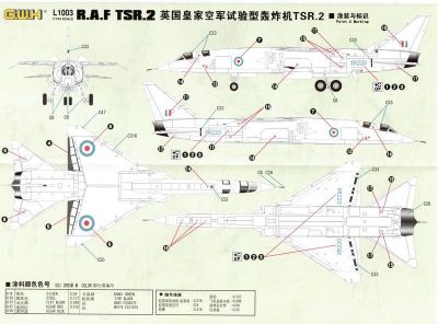 TSR.2 Great Wall Hobby