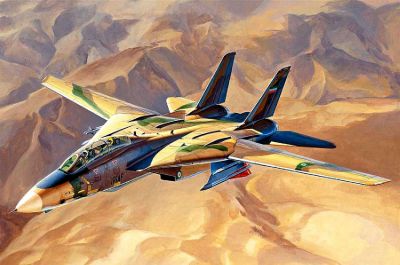 IRIAF Persian Cat F-14A Tomcat Hobby Boss