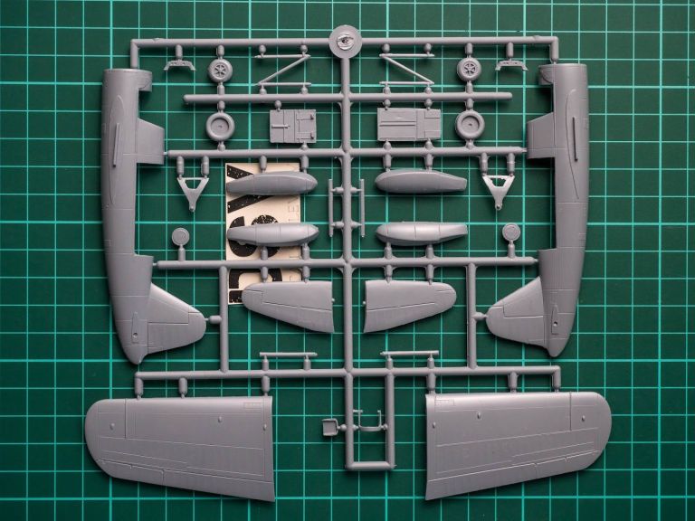 Kingfisher Mk.I "FAA & RAF"